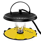 Electric Flea Trap for Inside Your Home, Safe Flea Infestation Treatment w/ 4 Sticky Flea Trap Refill, Plug-in Flea Killer for Home, Bed Bug Light 7W for Cats and Dogs.