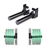 SYL Fitness Olympic Weight Plates Holder Power Rack Attachment Weights Storage Rack, Fit 2x2 inch & 3x3 inch Tube (Weight Plates Holder for Rack 2x2 IN)