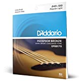D'Addario EPBB170 Phosphor Bronze Acoustic Bass Strings, Long Scale, 45-100
