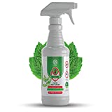 GERMOFIN Scour Organic Home Pest Control Spray - Peppermint Oil - Kills & Repels, Ants, Roaches, Spiders, and Other Pests Guaranteed - All Natural - Pet Safe - (Indoor/Outdoor Spray - 16oz