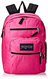 JanSport Big Student Laptop Backpack for College Students, Teens, Bright Beet Computer Bag with 2 Compartments, Ergonomic Shoulder Straps, 15” Laptop Sleeve, Haul Handle - Book Rucksack