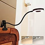 DINGLILIGHTING W-LITE LED USB Reading Light Clip Laptop Lamp for Book, Piano, Bed Headboard, Desk, Eye-Care 2 Light Color Switchable, Adapter Included, Black