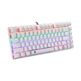 HUO JI 60% Mechanical Gaming Keyboard, E-Yooso Z-88 with Blue Switches, Rainbow LED Backlit, Compact 81 Keys, Silver and White