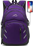 Backpack Bookbag for School College Laptop Travel Student,Fit Laptop Up to 15.6 inch with USB Charging Port Multi Compartment Anti theft, Gift for Women Men (Purple)
