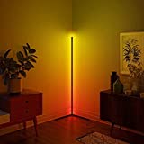 Xianfei Corner Floor Lamp Nordic Decoration Home Floor Lamps for Living Room Night Light Dimming Standing Lamp Bedroom Decor Floor Light, RGB Remote Control Discoloration (Black)