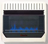 HearthSense Dual Fuel Ventless Blue Flame Heater With Base and Blower - 30,000 BTU, T-Stat Control - Model BF30T-BB-R (Renewed) , Black
