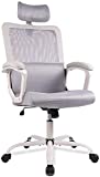 Office Chair, Ergonomic Mesh Home Office Computer Chair with Lumbar Support/Adjustable Headrest/Armrest and Wheels/Mesh High Back/Swivel Rolling (Grey)