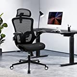 Office Chair, Ergonomic Mesh Chair w/ 90°-135° Adjustable Backrest and 4D Adjustable Armrest, High Back Desk Chair w/ 2D Headrest, Tilt Function, and Dynamic Lumbar Support Computer Desk Chair