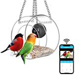 Bird Feeder with Camera,Smart Bird Feeder with Hd 1080p Camera Night-Version Video Wireless Outdoor for Thistle,Finch,Wild Outdoor Bird Watching, Capture Photos Window Hanging Bird Feeder
