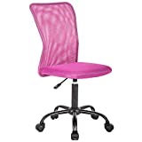 Mid Back Ergonomic Computer Office Chair Executive Desk Task Mesh Chair Rolling Swivel Chair with Lumbar Support for Back Pain(Pink)