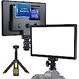 RALENO LED Video Light, Camera Light for Pictures Video Recording with 4000mAh Battery Support Type-C USB Power Supply, CRI95 3200K-5600K Photo Light for Outdoor Photography Live Streaming Zoom Calls