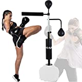 Hi-Na Multifunctional Boxing Gym Equipment,360 Spinning Bar with Dual Punching Balls,for Kids and Adults, Used in Home and Gym (Black Bar)