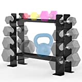 JX FITNESS 2 Tier Dumbbell Rack Stand, Steel Weight Rack for Home Gym Dumbbell Storage, Rack Only, (500LBS Weight Capacity, 20.50 x 8.50 x 27.00 inches)