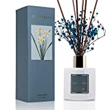 Cocorrína Premium Reed Diffuser Set with Preserved Baby's Breath & Cotton Stick Cashmere Vanilla | 6.7oz Scent Fragrance Oil Diffuser for Bedroom Bathroom Living Room Home Décor