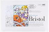 Strathmore (25-611 STR-25-611 24 Sheet Smooth Bristol Pad, 11 by 17', Blue Lined