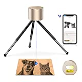LaserPecker 1 Laser Etcher, Portable Laser Engraver Mini DIY Laser Engraving Machine, Compressed Spot High Precision Small Laser Engraver for Logo Craft Custom Engrave ​- Gold
