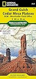 Grand Gulch, Cedar Mesa Plateau [BLM - Monticello Field Office] (National Geographic Trails Illustrated Map, 706)