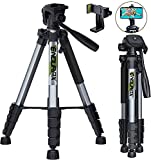 Endurax 66 Video Camera Tripod Compatible with Canon Nikon Lightweight Aluminum Travel DSLR Camera Stand with Universal Phone Holder Mount and Carry Bag