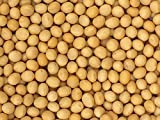Premium Grade Non-GMO Soybeans Bulk Great Price (5 Pounds)