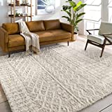 Artistic Weavers Hapsburg Moroccan Shag Area Rug, 5'3' x 7'3', Beige