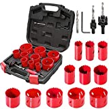 Bi-Metal Hole Saw Kit, HYCHIKA 17 Pcs High Speed Steel 3/4 inches- 2-1/2 inches Set in Case with Mandrels, Durable High Speed Steel, Perfect for Drilling PVC Board, Metal, and Plastic Plate