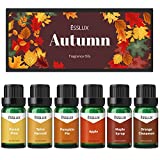 Fragrance Oil, ESSLUX Autumn Set of Scented Oils, Soap & Candle Making Scents, Essential Oils Gift Set for Home Diffuser, Orange Cinnamon, Pumpkin Pie, Apple, Spice Harvest, Forest Pine, Maple Syrup