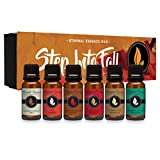 Step Into Fall Gift Set of 6 Premium Fragrance Oils - Almond Coconut Milk, Fire Amber, Sexy Cinnamon Clove, Reindeer Retreat, Warmth of The Holidays, Tobacco Vanilla - Eternal Essence Oils