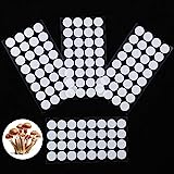 128 Pieces Synthetic Filter Paper Stickers 20 mm 0.3 μm Filter Disc Mushroom Applied Under Wide Mouth Jar Lid for Mushroom Cultivation