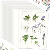 FSWCCK 20 Pieces A4 Flower Press Paper 8.3 x 11.7 Inch Blotting Paper Reusable Herbarium and Highly Absorbent Paper Blotter Paper for Art