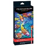 Prismacolor Col-Erase Erasable Colored Pencil, 12-Count, Assorted Colors (20516)