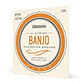 D'Addario EJ55 5-String Banjo Strings, Phosphor Bronze, Medium, 10-23