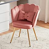 Tbfit Velvet Vanity Chair for Makeup Room, Makeup Chair with Shell Back for Bedroom, Accent Chairs for Living Room with Golden Metal Legs, Pink