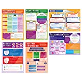 Psychological Investigations Posters - Set of 6 | Psychology Posters | Gloss Paper measuring 33” x 23.5” | Psychology Charts for the Classroom | Education Charts by Daydream Education