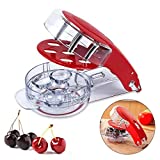 Locisne Cherry Pitter, Cherry Pitting Tool with 6 Groove Cherries Stoner Remover