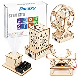 4 in 1 STEM Kit, Wooden Construction Science Projects, Assembly Mechanical Models , 3D Building Blocks DIY Ferris Wheel, Carousel Model, Nightlight Lantern Educational Toys for Boys and Girls