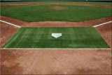 5' Feet x 10' Feet Synthetic Turf Baseball Softball Batting Cage Practice Hitting Rug Mat
