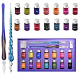 AIVN Glass Dip Pen Set - 19 Pieces of Calligraphy Pens Set. Includes 2 Glass Pens, 14 Bottle Inks, Pen Holder, Cleaning Cup and Introduction Booklet