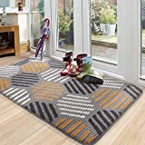 Color G Indoor Door Mat,Super Absorbent Rugs for Entryway Front Door Mat, Non Slip Washable Resist Dirt Entry Rug 24'x36'