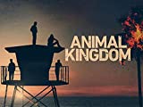 Animal Kingdom S5 Trailer