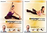 Viniyoga Therapy Complete Back Care 2-DVD Set