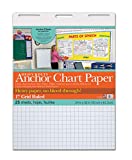 Pacon PAC3373 Heavy Duty Anchor Chart Paper, 1' Grid Ruled, 24' Width, 32' Length, 25 Sheets