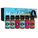 Island Getaway Gift Set of 6 Premium Fragrance Oils - Barrier Reef, Mountain Meets The Ocean, Beautiful Day, Caribbean Escape, Honolulu Sun, Mermaid - Eternal Essence Oils
