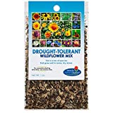 Drought Resistant Wildflower Seeds Open-Pollinated Bulk Flower Seed Mix for Beautiful Perennial, Annual Garden Flowers - No Fillers - 1 oz Packet