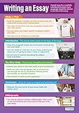 Writing an Essay | Life Skills Posters | Gloss Paper measuring 33” x 23.5” | Functional Skills Classroom Posters | Education Charts by Daydream Education