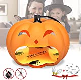 Flea Trap,Sticky Dome Bed Bug Trap with 2 Glue Discs, Indoor Pest Control Trap Natural Insect Killer Pad，Pumpkin Shape Decorative Flea Trap for Fleas, Spiders, Safe for Kids/Pets