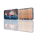 Derwent Lightfast Colored Pencils, for Artist, Drawing, Professional, (2302721) multicolour 36 Count (Pack of 1)