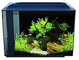 Hagen Fluval Spec V Aquarium Kit (16 gal.)