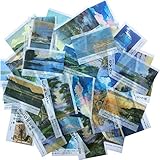 Vintage Washi Paper Sticker Set Forest Flower House Outside Road Scenery DIY Adhesive Sticker Decoration Label for Scrapbook Journal Art Craft Album Journal Planner Diary Book(D)