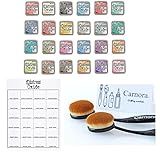 Tim Holtz and Ranger Distress Oxide Inks - Complete Set of 24 Distress Oxide Ink 3x3 Pads, 2 Carnora Blending Brushes and Bonus Oxide Ink Color Chart