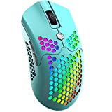 Wireless Gaming Mouse,Two Modes Wireless/Wired RGB Gaming Mouse with Ultralight Honeycomb Shell,Pixart 3325 12000 DPI,Rechargeable 800mA Battery,Programmable Driver for PC Gamers(Macaron Green)